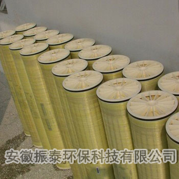 案例十 安徽國星生物化工公司膜離線清洗